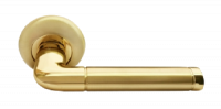 Дверная ручка RAP 2  Матовое золото/золото